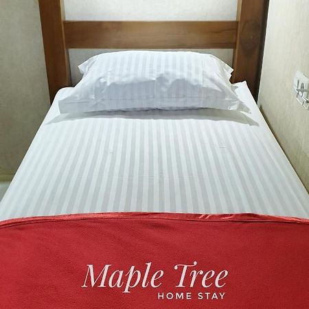Maple Tree Homestay Maguwo Exteriör bild