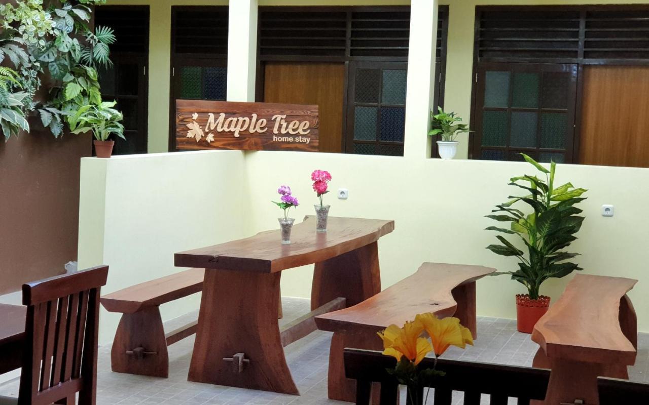 Maple Tree Homestay Maguwo Exteriör bild