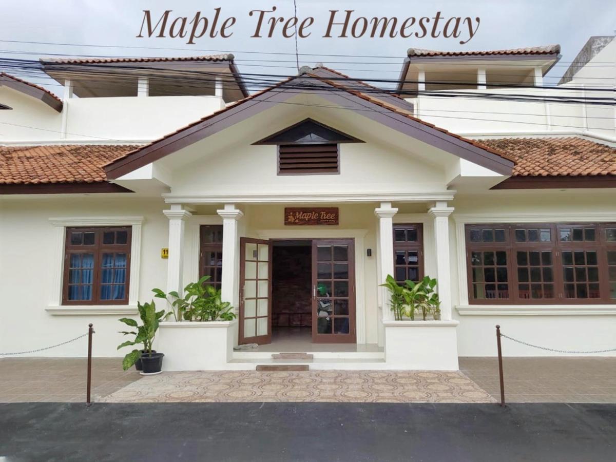 Maple Tree Homestay Maguwo Exteriör bild
