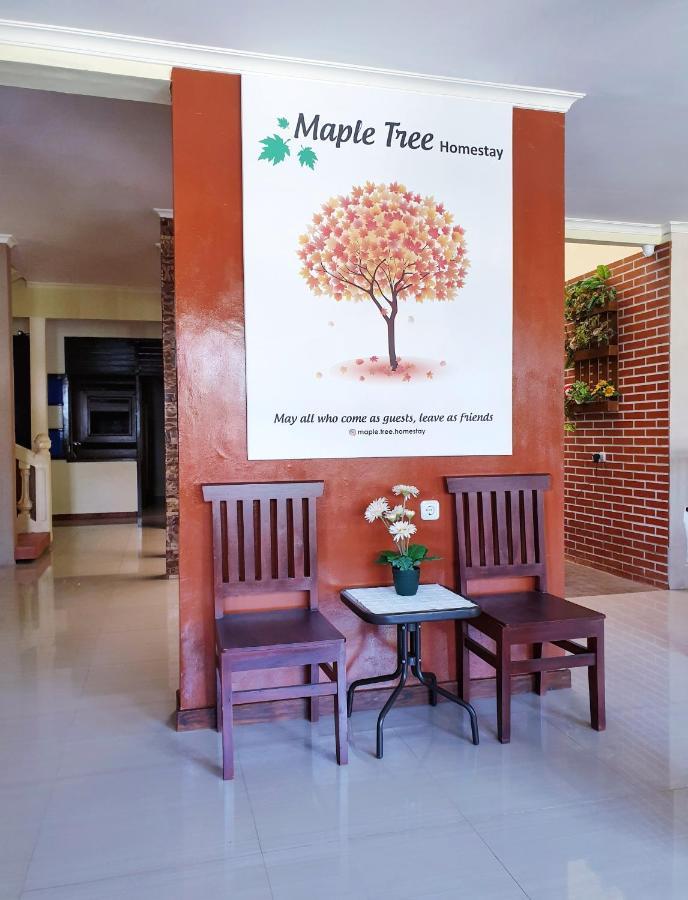 Maple Tree Homestay Maguwo Exteriör bild